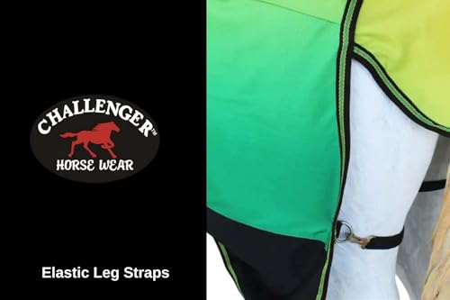 Image of Challenger 1200D Turnout Lightweight Rain Horse Winter Blanket Sheet 3B103