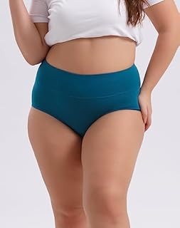 INNERSY Women's Plus Size XL-5XL Full Coverage Underwear High Waisted Cotton Panties 4-Pack(Mint Sky,4X-Large)