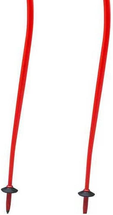 Swix Winter Sports Recreation Competition Alpine Skiing Racing World Cup WC Downhill Aluminum Poles