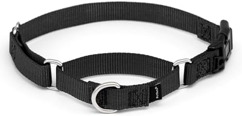 PetSafe Nylon Martingale Collar with Quick Snap Buckle, 1" Medium, Black, dogs, 15 inch