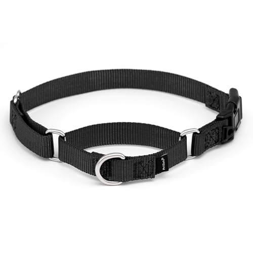 PetSafe Martingale Dog Collar with Quick Snap Buckle - No Pull Dog Collar for Walking Control - Gentle Correction - Durable Nylon Material - Adjustable No-Slip Collar - Black - Medium - 1 Inch Wide
