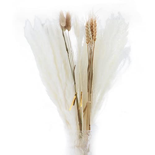 30 peças buquê de de pampas secas, hastes de arranjo de junco boho para mesa de estar peças centrais