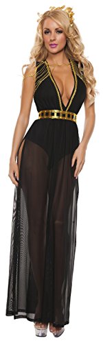 Starline Women's Black Goddess Costume