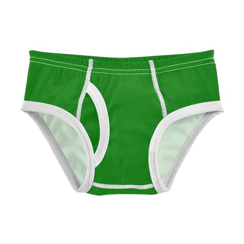 Green Boys' Underwear Cotton Boys Briefs Soft Toddler Underwear 2T