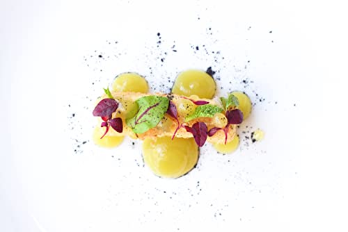 Gum Arabic Powder (Acacia) 100g Premium Quality, Vegan, Non-GMO, Gluten Free – Recyclable Container