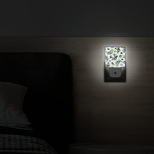 Qsirbc Night Light Blueberry Painting Motion Sensor Dusk To Dawn Led Lamp Set Of 2 Plug-In Energy Efficient Nightlights For Room Hallway Stairs Decor Aesthetic And Bedroom Essentials #TOP4