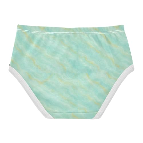 Joisal Durable Toddler Underwear Floral 2t Cotton Panties Little Girl Chic Pastel Green Teal Briefs Underpants2