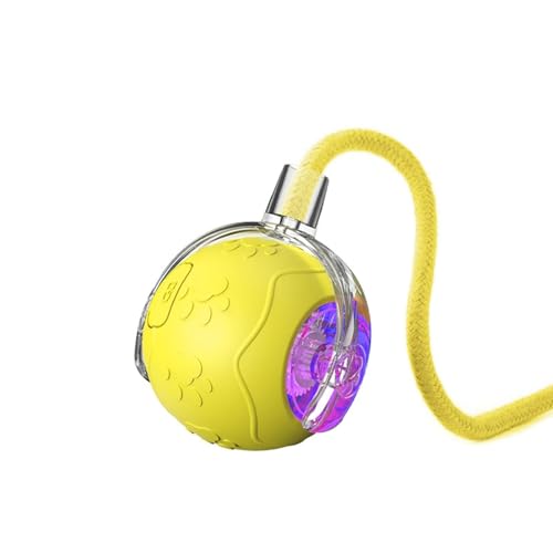 KJOET C^NeBuȔL̃{[̂A[O{[Lbg | pYL̂Ⴈ[vt̎[O{[,L̃ANZT[Aƒx̌̂߂̏[d̃ybgpiAL