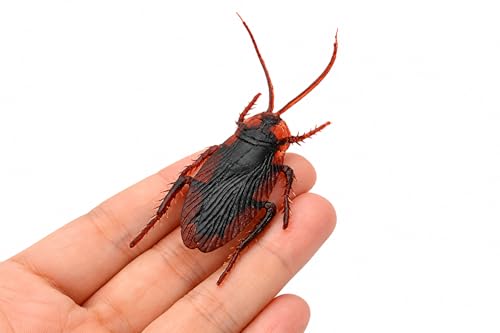 Image of Crafts and Toys 5 in 1 Insect (Prank Black Snake + 1 Chipkali Lizard + 1 Centipede + 1 Bicchu Scorpion + 1 Cockroach) Prank Toys Enjoyed for Kids and Adults (S498)