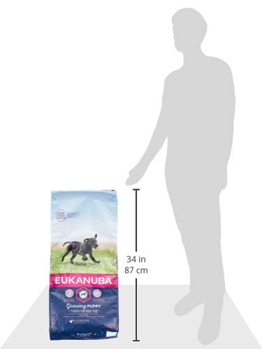 Eukanuba Welpenhundefutter für große Hunde, reich an frischem Hühn, 12 kg