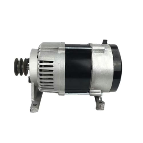 Générateur de poulie 3000W résistant pour pallier les pannes - 5