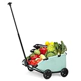 Mini-Hundewagen für Mini-Haustiere, faltbarer multifunktionaler Einkaufswagen mit ausziehbarem Ziehgriff, Doggie Wagon eingebautem Kissen und Sicherheitsseil mit Aufbewahrungstasche (Blaugrün)