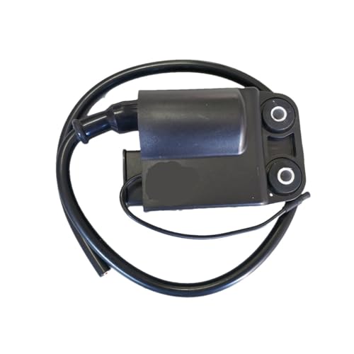 Bobina de encendido de 12V para ZIP 50 y TPH de 50cc