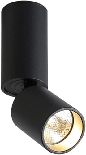 CHFYIJYHM Lámpara de Pared LED Resistente, Foco, lámpara de Techo, iluminación de Techo for Sala de Estar, luz empotrada Ajustable Universal, Moderna(Schwarz,White Light)