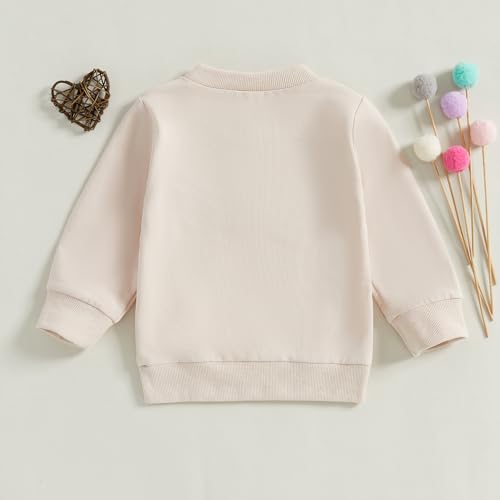 Baby Boy Girl Outfit Colorful Letter Embroidery Sweatshirt Long Sleeve Crewneck Sweater Toddler Fall Clothes2