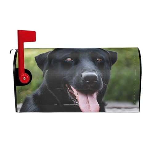 Rottweiler Wallpaper Print Mailbox Cover Durable Oxford Cloth for American Standard & Large Size Mailboxes