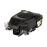 Briggs & Stratton 14D932-0110-F1 Professional Series 10 GT 223cc Vertical Engine