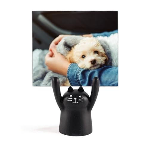 q̂킢̎ʐ^ J[gD[LX^h^z_[