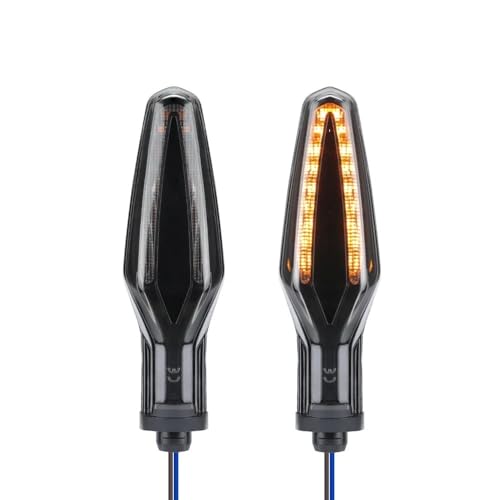 Clignotant LED Moto Directionnelle R1200GS S1000XR F900XR