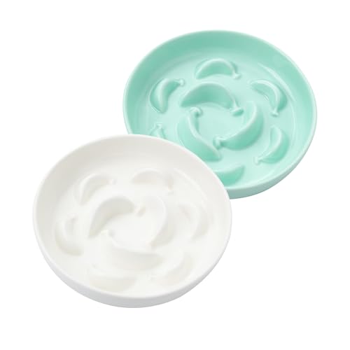 Cat Slow Feeder Bowl Set - 2 Pcs Ceramic Cat Food Plates for Slow Eating - Double Cat Dish for Dry Wet Food - Slow Feeding Cat Bowls Whisker Friendly - Microwave and Dishwasher Safe - White and Green