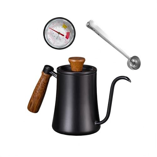 Gooseneck Kettle, Pour Over Coffee Kettle 550ml with Thermometer and Coffee Spoon, Stainless Steel Coffee Pot with Long Narrow Spout Hand Drip Kettle