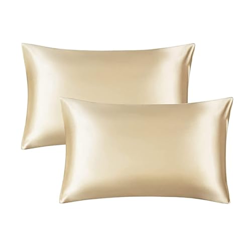 Jo[ 2Zbg 43 63  Jo[ RۖhL E qɗD  I[V[Y s[P[X ʋC  (Vp(2Zbg), 43x63cm) [sAi]