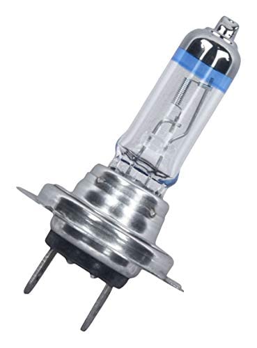 Image of Potauto H7 XTRA Head Light Halogen Bulb For Car, 12V 100W - PX26d | 3500K | Pack of 10