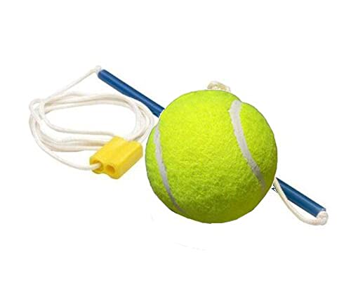 Swing ball Replacement Ball and Tether
