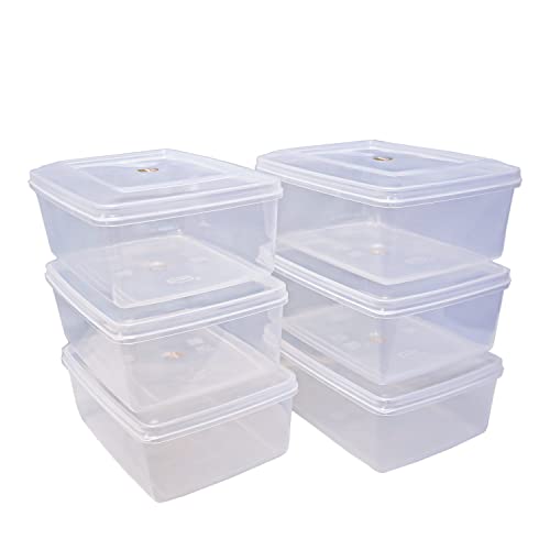 Image of Sthavir Premium Rectangle Plastic Storage Boxes, Transparent Containers, Medium Boxes for Jewellery /Medicines /Stationery /Cosmetics / Accessories (LXBXH- 22 x 17 x 9 cm) (Pack of 6) (Size No. - 5)