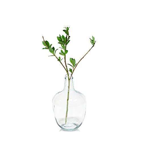 Clear Glass Vase for Decor, Big Belly Bubble Flower Bottle for Home Countertop, Shelf, Centerpiece and Shelf Decoration（6.3x6.3x10 In）