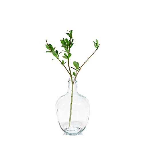 Clear Glass Vase for Decor, Big Belly Bubble Flower Bottle for Home Countertop, Shelf, Centerpiece and Shelf Decoration（6.3x6.3x10 In）
