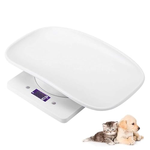 ybg̏dv ^ fW^ ybgXP[ ybg ͂ dr ő10kg܂ O\ L  ̏dǗ XP[ gCO\  |[^u ybg ̏dv Hi Lb`XP[ƂĎgp\