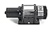 WARN (82467 12V DC800 Industrial Hoist, Black