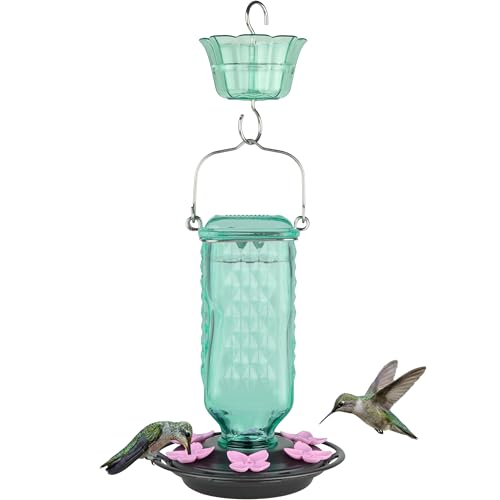 Nature’s Way Dewdrop Column Antique Teal Glass Gravity Hummingbird Feeder with Ant Moat, 23 Ounce Capacity, 6 Flexible Pink Lilac Flower Ports, Continuous Perch Ring, Easy-Clean Pewter Plastic Base