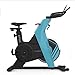 ACTIVOGYM SP500 - Bicicletta Spinning Professionale - Magica Trasmissione a Cinghia Silenziosa e Pedali Spining con tacche Volano inerzia 13 Kg
