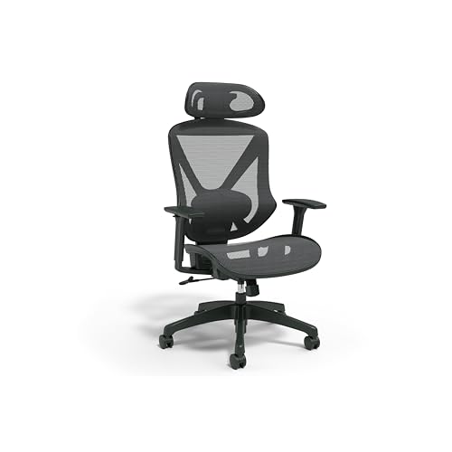 Staples Dexley Ergonomic Mesh Chair