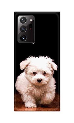 Image of PRINTFIDAA� Printed Hard Back Cover Case for Samsung Galaxy Note 20 Ultra 4G | Note 20 Ultra 5G Back Cover (Puppy Dog) -2808