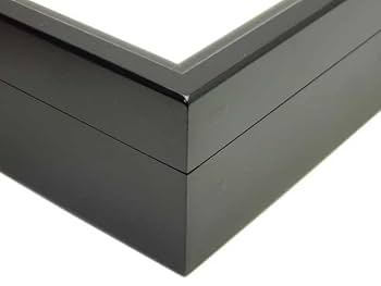 大型ドイツ箱　黒褐色2箱セット（Aー２) Amazon.co.jp: 【UVカット・ペフなし】大型ドイツ型標本箱[黒