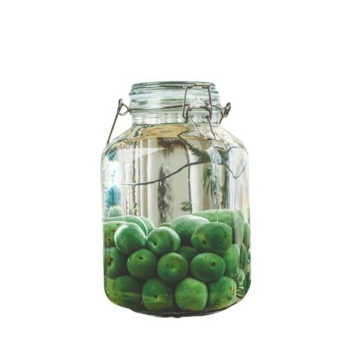 WXQ~{g KX{g t[cC{g 2L/3L/4L/5L eʐHiۑe KXۑ{g R[q[ۑe {gۑe{g ʎ𐻑 (lp,4L)