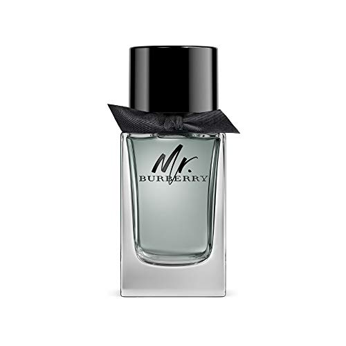 Preisvergleich Produktbild Burberry MR Burberry Eau de Parfum 150 ml