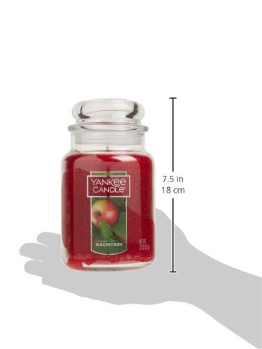 image for Yankee Candle Macintosh Scented, Classic 22oz Large Jar Single Wick Ca