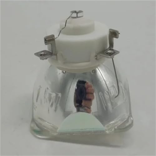 Lampe NP23LP pour dynamiser vos présentations sur NEC P451W - 4