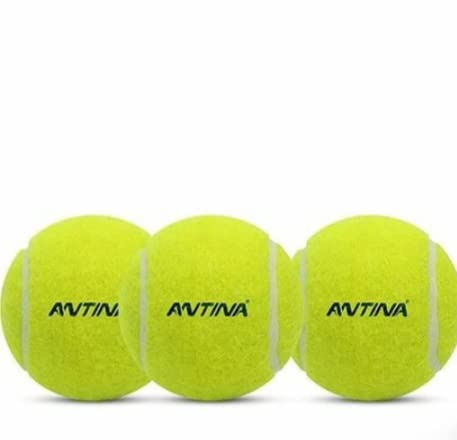 ANTINA Cricket Tennis Ball Pack of 3 (Green) (B09WZCH1GQ) Amazon Price History, Amazon Price Tracker