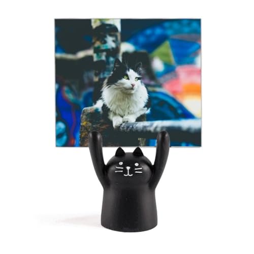 ̑ӑĂȔL̎ʐ^Be J[gD[LX^h^z_[