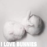 Love Life