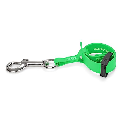 Jelly Pet Safety Tether for Table (Lime)