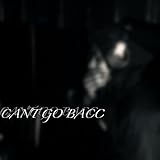 7316939 Records DK