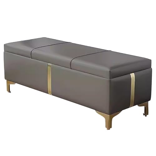 Moderno baúl y banco de almacenamiento para dormitorio, entrada, sala de estar y oficina. Elegante taburete gris de 47.2 pulgadas, solución de piel que ahorra espacio para organizar y sentar