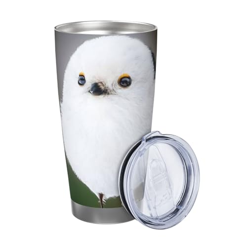 }OJbv V}GiK 킢   kC R[q[Jbv RrjJbv ۗ ۉ ^u[ XeX e ^fM}O Wt ^ ڃhbv ԗp 600ml Straw Three-piece Set