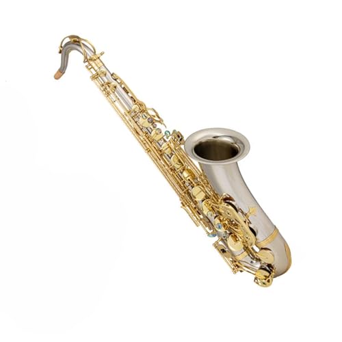 TbNXLbg B-tbgei[TbNXSҌvtFbViptH[}XeXg}EXs[Xt